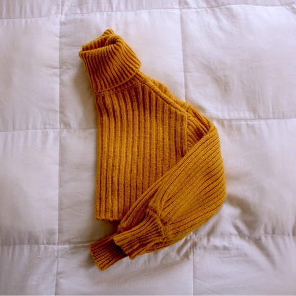 Urban Outfitters Sweaters - Urban Outfitters Cropped Sweater (S)